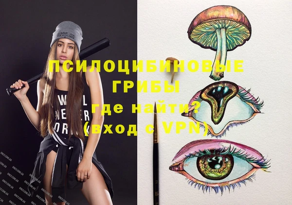гашиш Абаза
