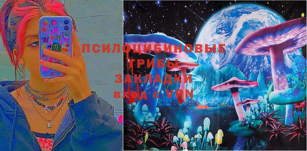 гашик Абинск