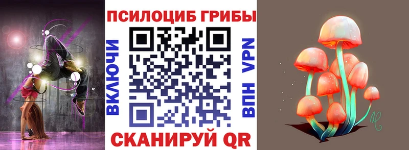 Псилоцибиновые грибы Cubensis  закладки  Северская 